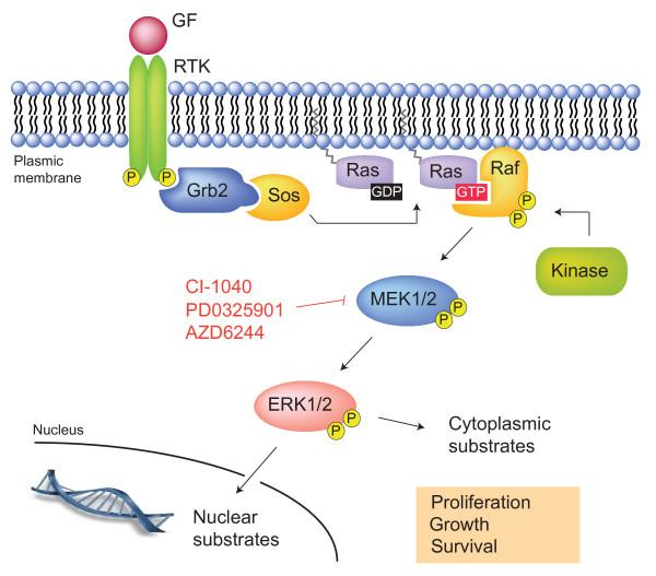 https://cdn.ncbi.nlm.nih.gov/pmc/blobs/1043/2830959/2aa2d41f949b/1756-8722-3-8-1.jpg