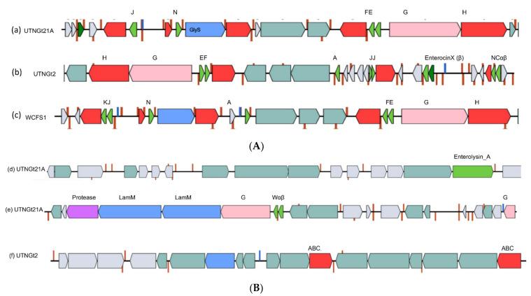 https://cdn.ncbi.nlm.nih.gov/pmc/blobs/1045/8953754/2751e1b1c8b8/genes-13-00443-g005.jpg