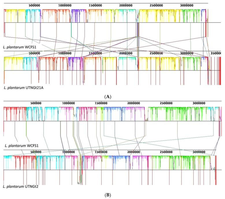 https://cdn.ncbi.nlm.nih.gov/pmc/blobs/1045/8953754/702ea2719dc3/genes-13-00443-g001.jpg