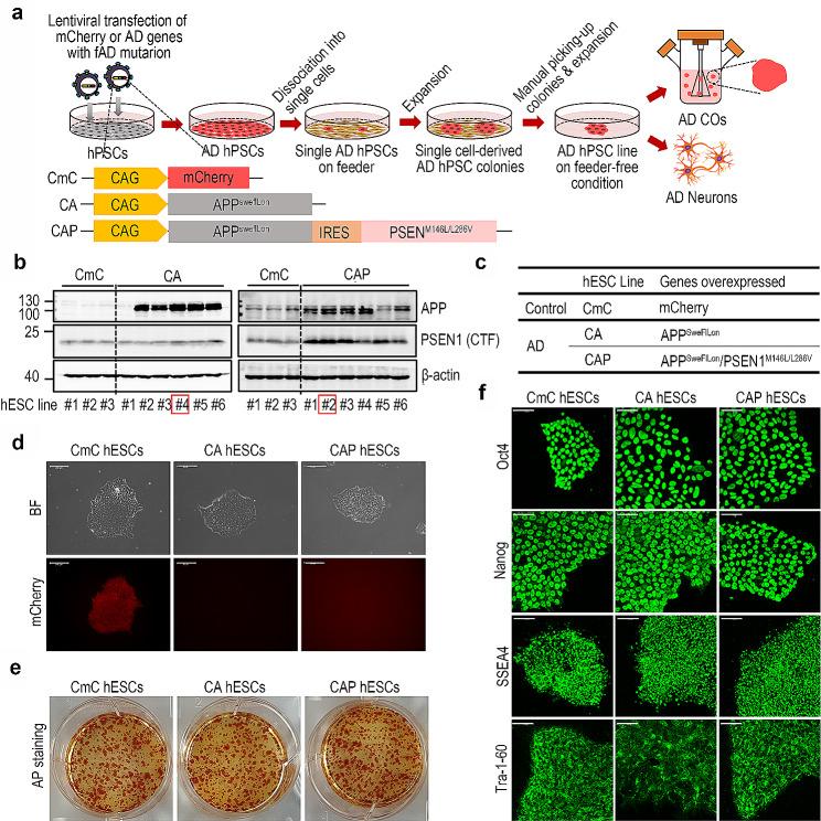 https://cdn.ncbi.nlm.nih.gov/pmc/blobs/1049/11040922/0655249ed546/13287_2024_3732_Fig1_HTML.jpg