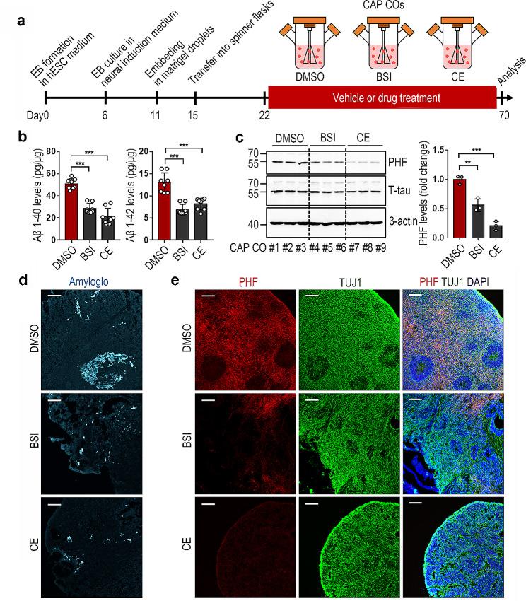 https://cdn.ncbi.nlm.nih.gov/pmc/blobs/1049/11040922/791226551a1f/13287_2024_3732_Fig4_HTML.jpg