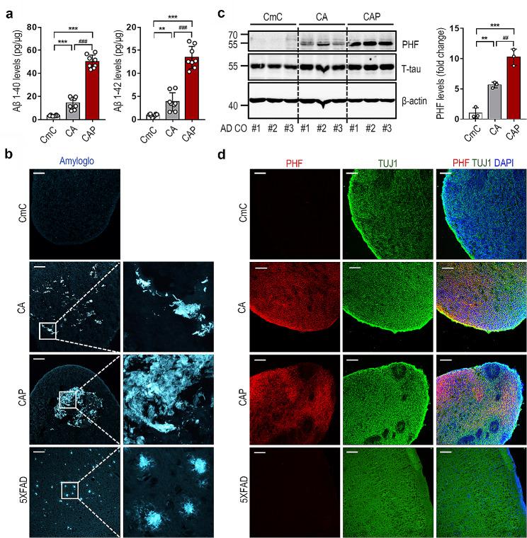 https://cdn.ncbi.nlm.nih.gov/pmc/blobs/1049/11040922/792175c71c67/13287_2024_3732_Fig3_HTML.jpg