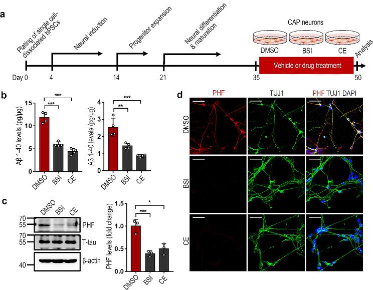 https://cdn.ncbi.nlm.nih.gov/pmc/blobs/1049/11040922/b58afc482883/13287_2024_3732_Fig6_HTML.jpg
