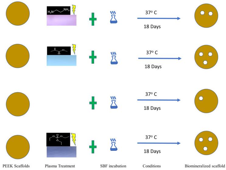 https://cdn.ncbi.nlm.nih.gov/pmc/blobs/104c/10780010/cf2dbab9c71a/materials-17-00171-g005.jpg