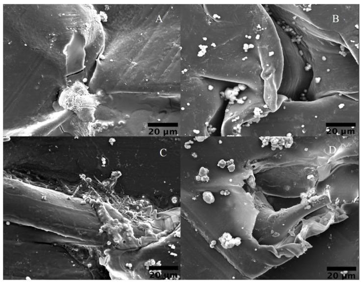 https://cdn.ncbi.nlm.nih.gov/pmc/blobs/104c/10780010/de9308117bf7/materials-17-00171-g009.jpg