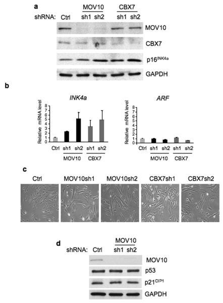https://cdn.ncbi.nlm.nih.gov/pmc/blobs/104f/2929459/eaf39833cd91/ukmss-31540-f0004.jpg
