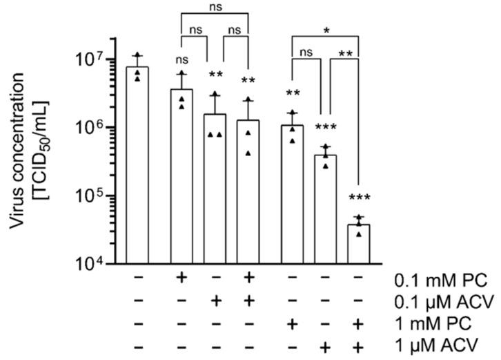 https://cdn.ncbi.nlm.nih.gov/pmc/blobs/1052/12346171/2a411fc15ad9/ijms-26-07185-g004.jpg