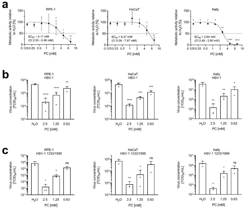 https://cdn.ncbi.nlm.nih.gov/pmc/blobs/1052/12346171/4f719eab083e/ijms-26-07185-g001.jpg