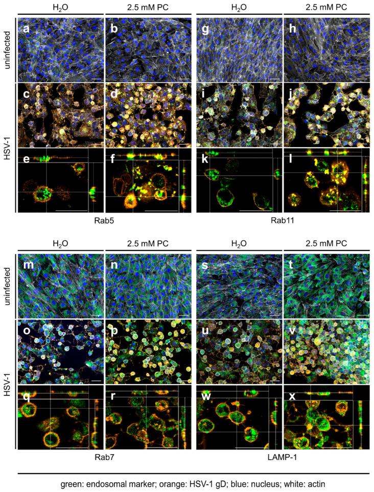 https://cdn.ncbi.nlm.nih.gov/pmc/blobs/1052/12346171/d94e313b6bc9/ijms-26-07185-g002.jpg