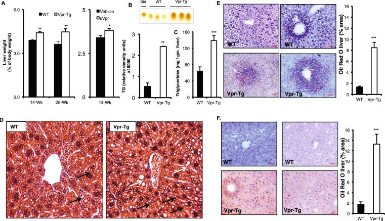 https://cdn.ncbi.nlm.nih.gov/pmc/blobs/1052/5645472/277c4991b112/41598_2017_13835_Fig1_HTML.jpg