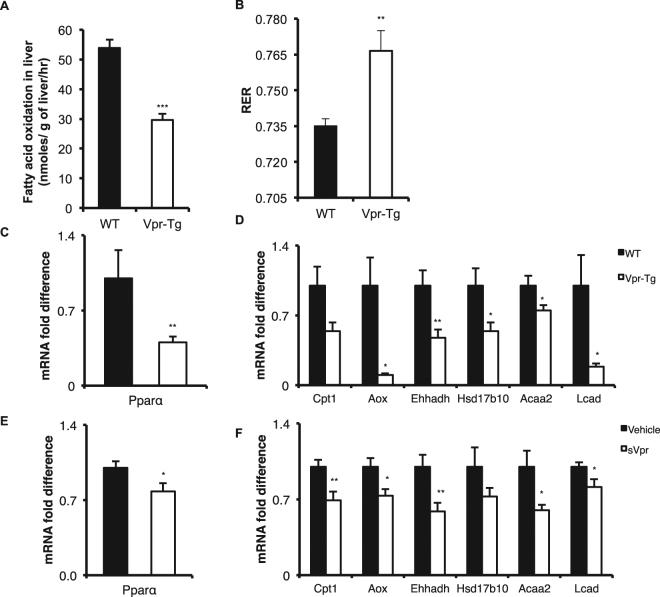 https://cdn.ncbi.nlm.nih.gov/pmc/blobs/1052/5645472/4b08c1a0ab86/41598_2017_13835_Fig5_HTML.jpg