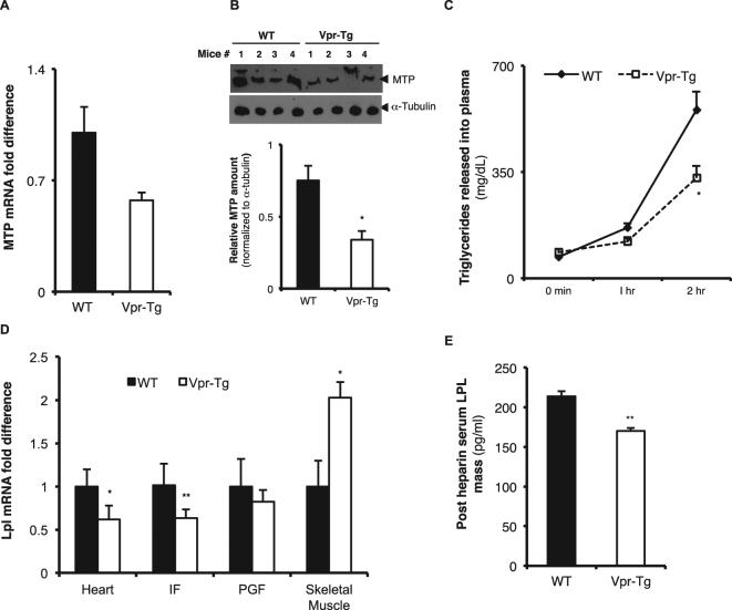 https://cdn.ncbi.nlm.nih.gov/pmc/blobs/1052/5645472/62442278d186/41598_2017_13835_Fig6_HTML.jpg