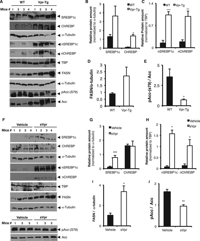 https://cdn.ncbi.nlm.nih.gov/pmc/blobs/1052/5645472/68bca31b4de7/41598_2017_13835_Fig3_HTML.jpg