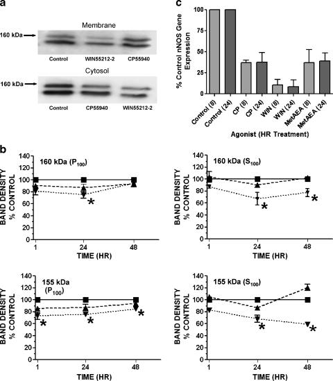 https://cdn.ncbi.nlm.nih.gov/pmc/blobs/1053/2719736/dc3234c7387d/11481_2009_9153_Fig6_HTML.jpg