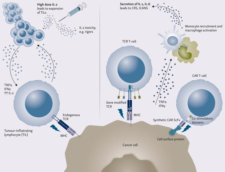 https://cdn.ncbi.nlm.nih.gov/pmc/blobs/1054/11997557/8c43e6ad54c7/gr1.jpg