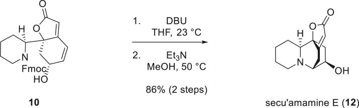https://cdn.ncbi.nlm.nih.gov/pmc/blobs/1056/11325371/cdaf0d4eaaf9/fx4.jpg