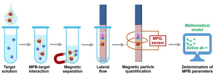 https://cdn.ncbi.nlm.nih.gov/pmc/blobs/1057/8071512/75f768d23a48/sensors-21-02802-g001.jpg