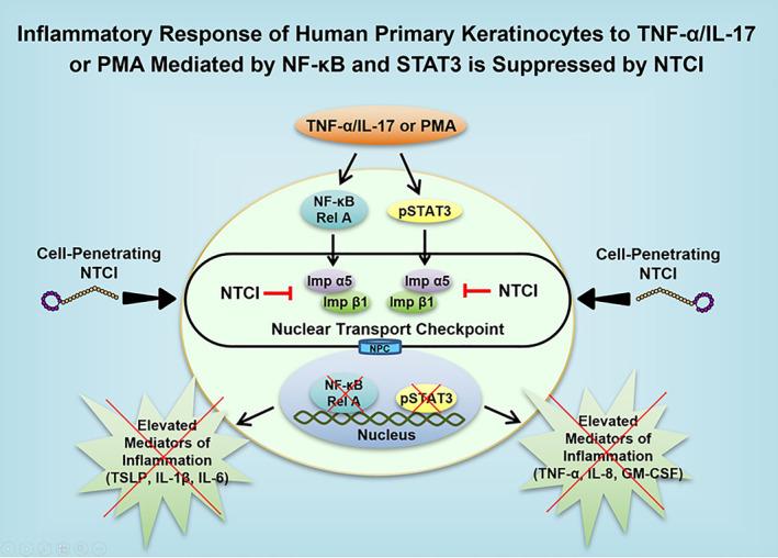 https://cdn.ncbi.nlm.nih.gov/pmc/blobs/1058/11150741/be3403df7df3/SKI2-4-e356-g001.jpg