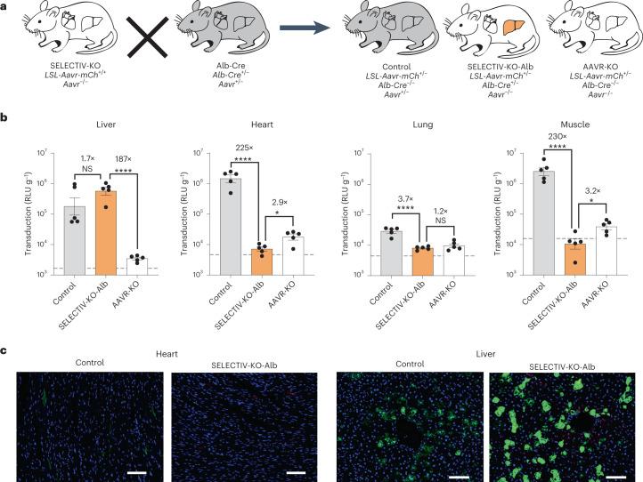 https://cdn.ncbi.nlm.nih.gov/pmc/blobs/1059/10333121/4050cb2ba1d6/41592_2023_1896_Fig5_HTML.jpg