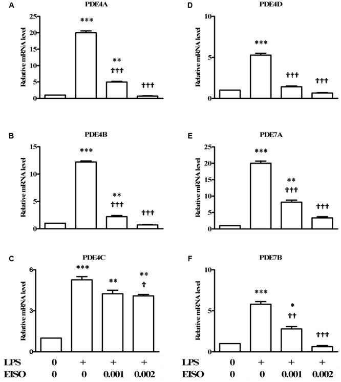 https://cdn.ncbi.nlm.nih.gov/pmc/blobs/1059/5854648/7d85e214ac87/fphar-09-00200-g004.jpg