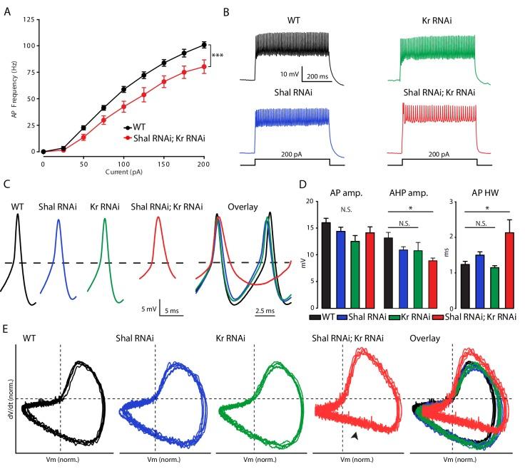 https://cdn.ncbi.nlm.nih.gov/pmc/blobs/1059/6491091/ea5e511a59e4/elife-45717-fig3.jpg