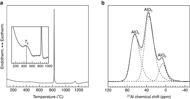 https://cdn.ncbi.nlm.nih.gov/pmc/blobs/1059/8752723/fe6424250b37/41598_2021_4455_Fig1_HTML.jpg