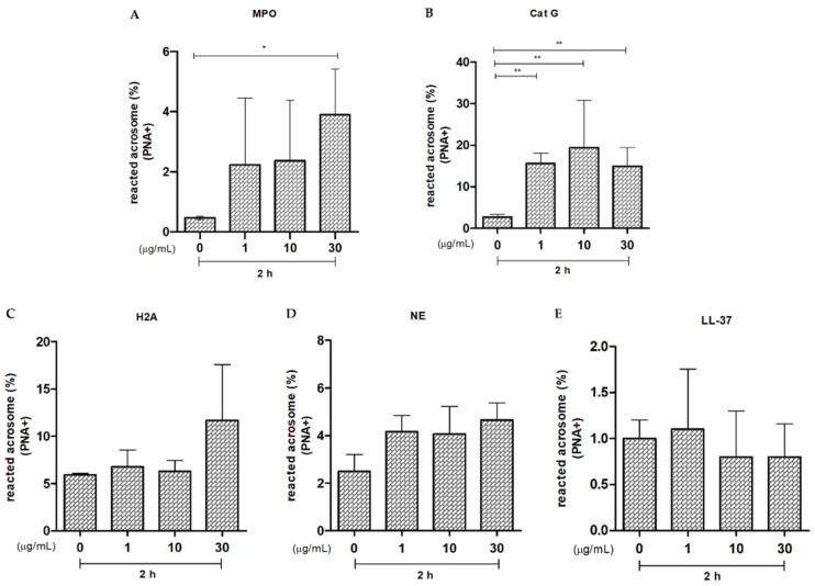 https://cdn.ncbi.nlm.nih.gov/pmc/blobs/105a/11172674/cb8e4af9f1b1/ijms-25-06216-g007.jpg