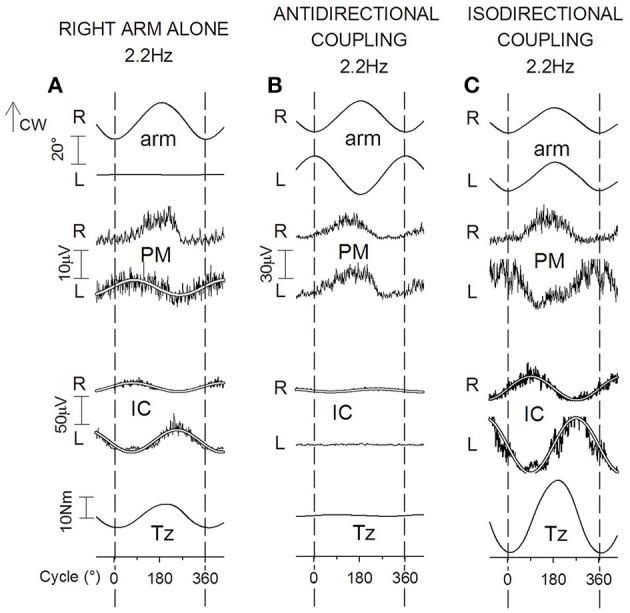 https://cdn.ncbi.nlm.nih.gov/pmc/blobs/105a/5374888/018df6fcb02d/fnhum-11-00152-g0008.jpg