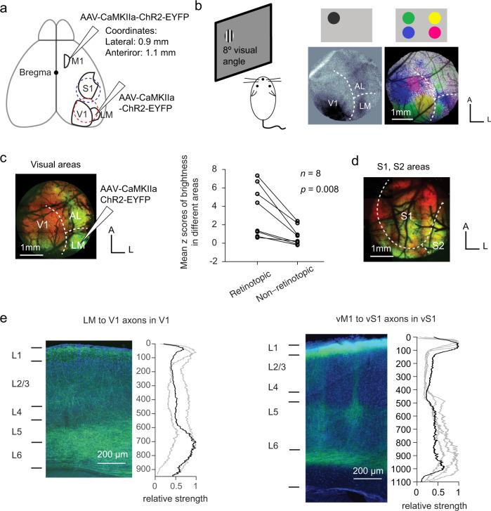 https://cdn.ncbi.nlm.nih.gov/pmc/blobs/105a/9613627/2dcfbe767ffd/41467_2022_33883_Fig1_HTML.jpg