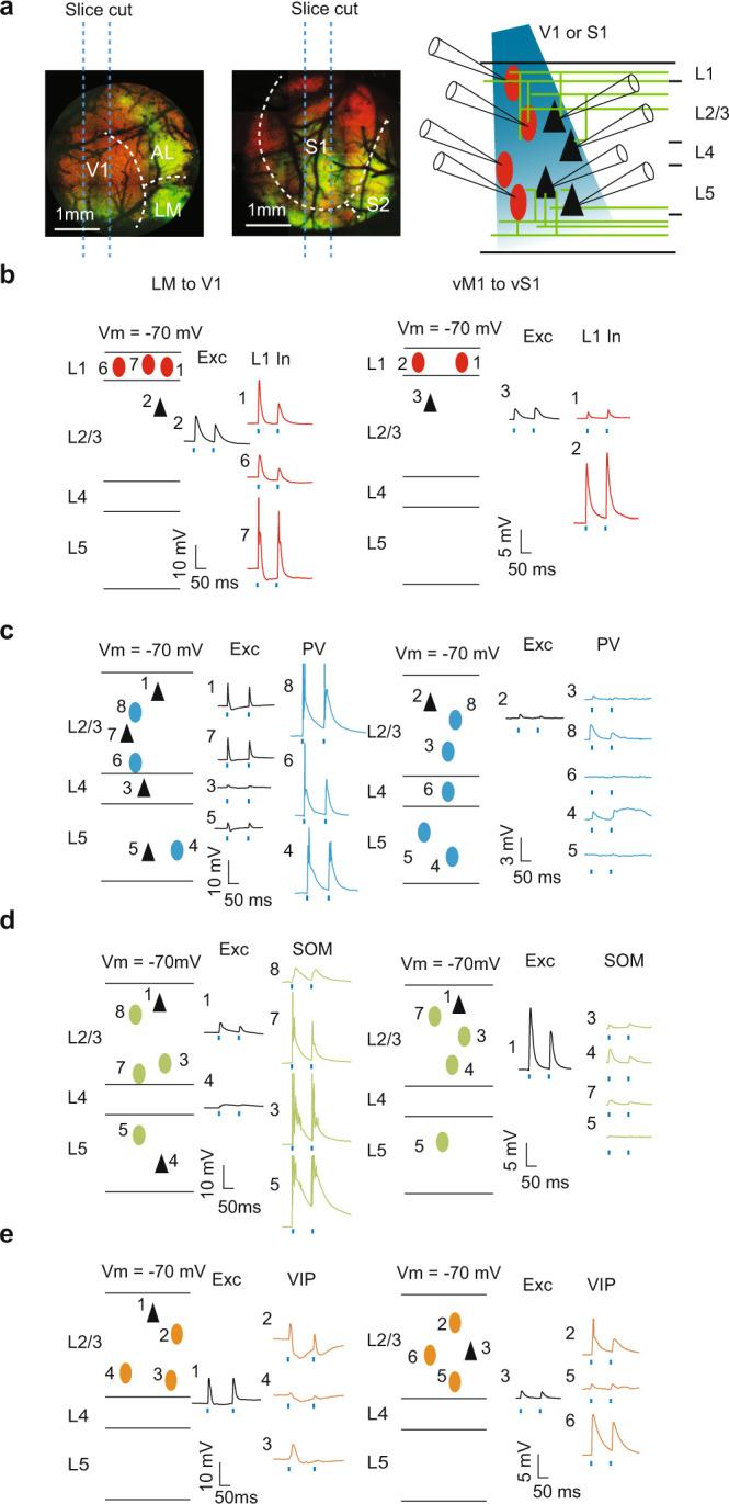https://cdn.ncbi.nlm.nih.gov/pmc/blobs/105a/9613627/e0d6585f3068/41467_2022_33883_Fig2_HTML.jpg