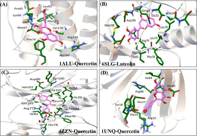 https://cdn.ncbi.nlm.nih.gov/pmc/blobs/105c/8386324/b833c32f215b/jtim-09-098-g012.jpg