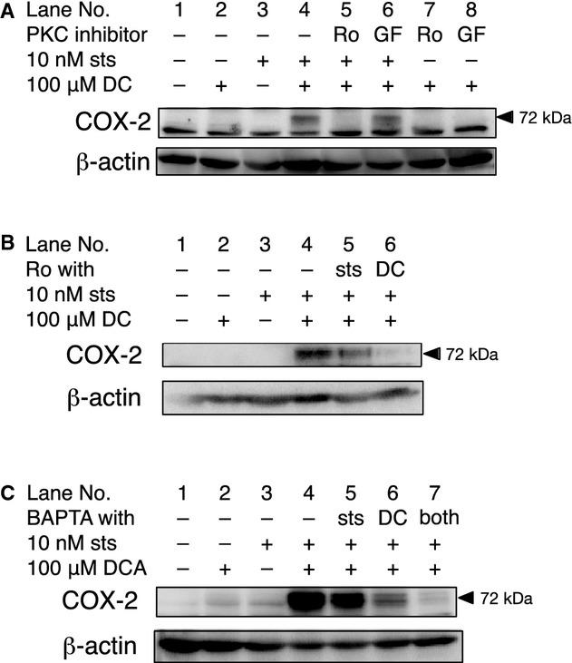 https://cdn.ncbi.nlm.nih.gov/pmc/blobs/1060/4246598/354be8a621ba/phy2-2-e12143-g3.jpg