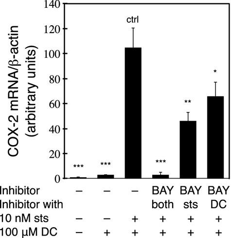 https://cdn.ncbi.nlm.nih.gov/pmc/blobs/1060/4246598/bc3146ec36f5/phy2-2-e12143-g7.jpg