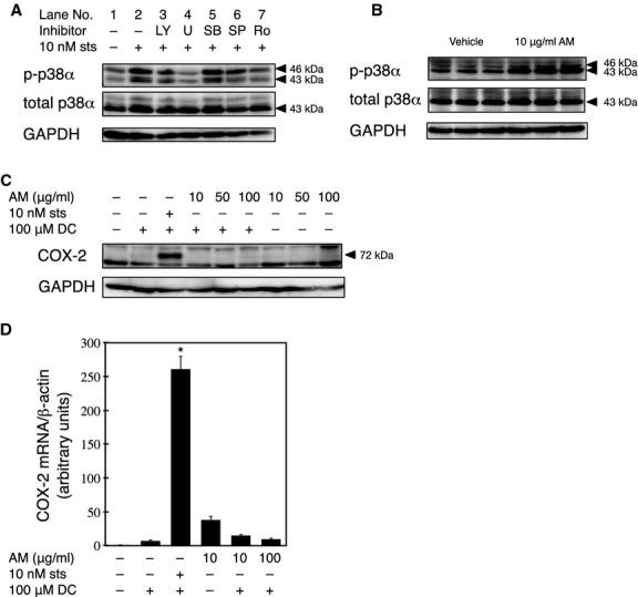 https://cdn.ncbi.nlm.nih.gov/pmc/blobs/1060/4246598/c4ed7a0f3d8d/phy2-2-e12143-g5.jpg
