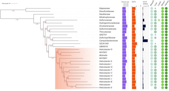 https://cdn.ncbi.nlm.nih.gov/pmc/blobs/1061/8136821/53c5388bf139/gkab283fig7.jpg