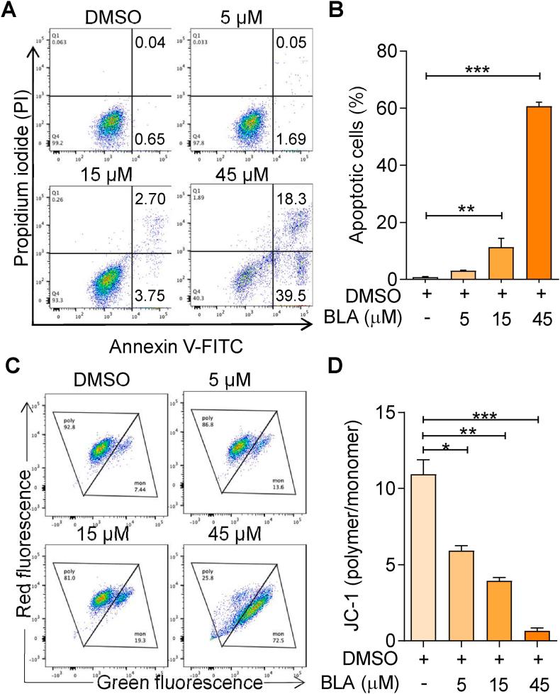 https://cdn.ncbi.nlm.nih.gov/pmc/blobs/1062/11750491/d16327f46403/gr2.jpg