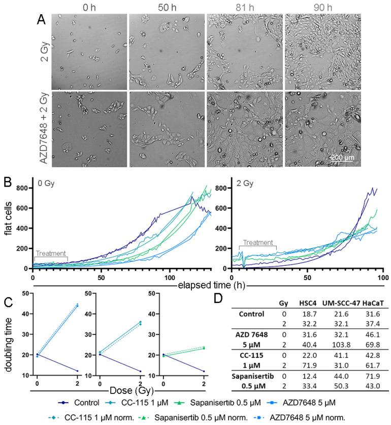 https://cdn.ncbi.nlm.nih.gov/pmc/blobs/1064/10887161/b6af80986269/cells-13-00304-g005.jpg