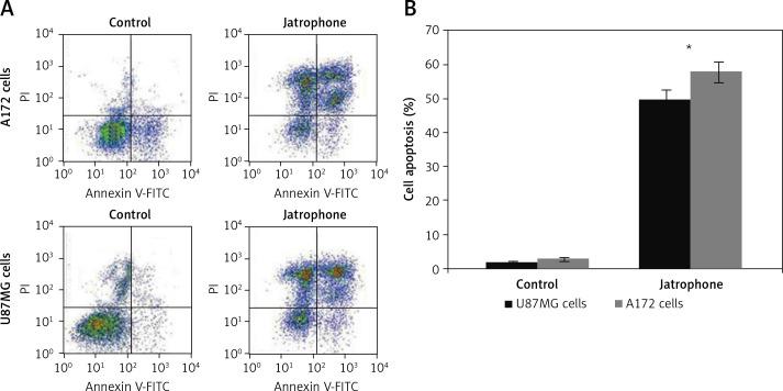 https://cdn.ncbi.nlm.nih.gov/pmc/blobs/1065/11969555/23efabbe8062/AMS-21-1-118396-g004.jpg