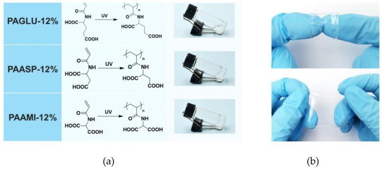 https://cdn.ncbi.nlm.nih.gov/pmc/blobs/1065/12027129/832d38818999/gels-11-00234-g008.jpg