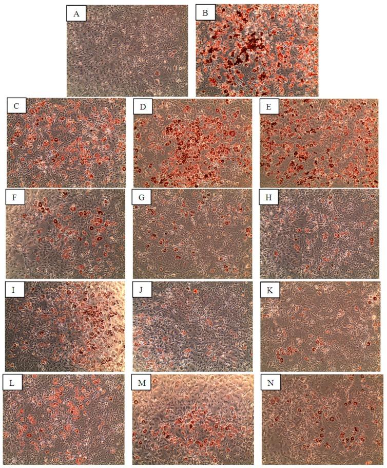https://cdn.ncbi.nlm.nih.gov/pmc/blobs/1065/6332226/65399cdff442/molecules-20-19847-g003.jpg