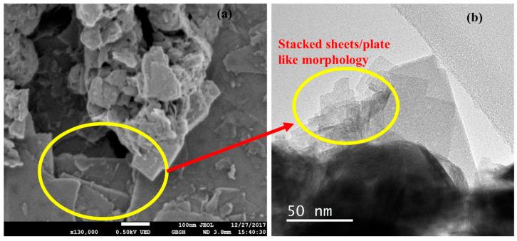 https://cdn.ncbi.nlm.nih.gov/pmc/blobs/1065/7408399/f82f5c53c66c/nanomaterials-10-01340-g002.jpg