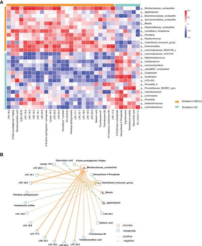 https://cdn.ncbi.nlm.nih.gov/pmc/blobs/1065/9895385/43da2636ed25/fcimb-13-1091825-g008.jpg