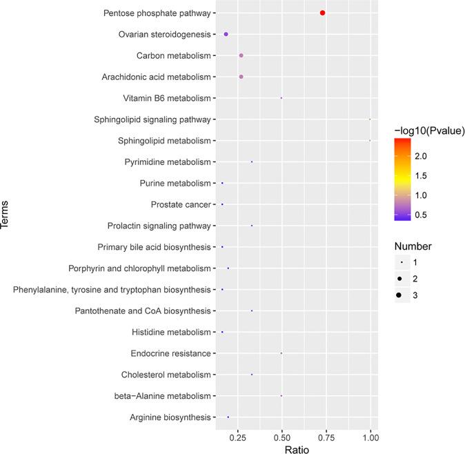 https://cdn.ncbi.nlm.nih.gov/pmc/blobs/1065/9895385/be1d418b58eb/fcimb-13-1091825-g007.jpg