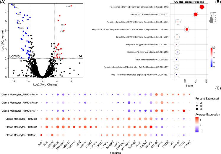 https://cdn.ncbi.nlm.nih.gov/pmc/blobs/1069/12122427/587969f0671e/fimmu-16-1572823-g004.jpg