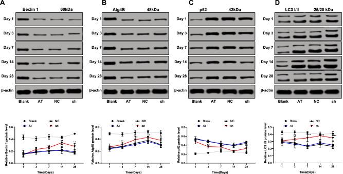 https://cdn.ncbi.nlm.nih.gov/pmc/blobs/1070/7490227/546afe8df415/iovs-61-11-19-f002.jpg