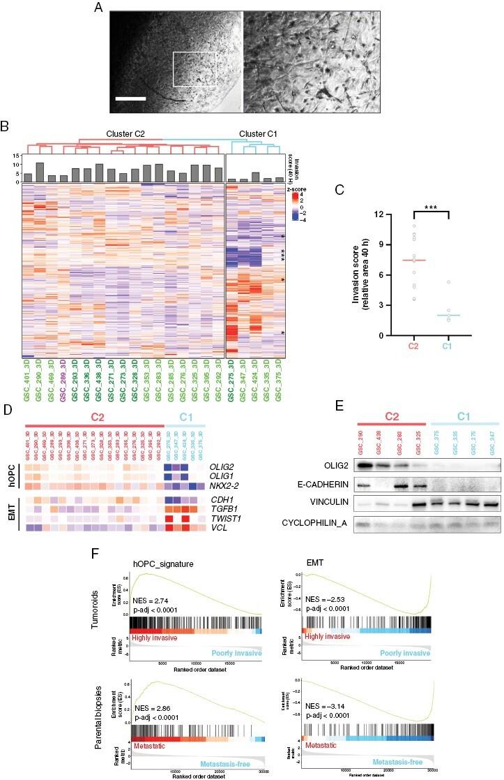 https://cdn.ncbi.nlm.nih.gov/pmc/blobs/1071/10912010/3b1bb91a64ce/noad161_fig2.jpg