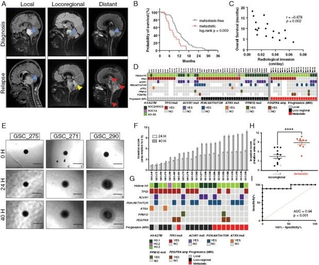 https://cdn.ncbi.nlm.nih.gov/pmc/blobs/1071/10912010/5b952f927f30/noad161_fig1.jpg