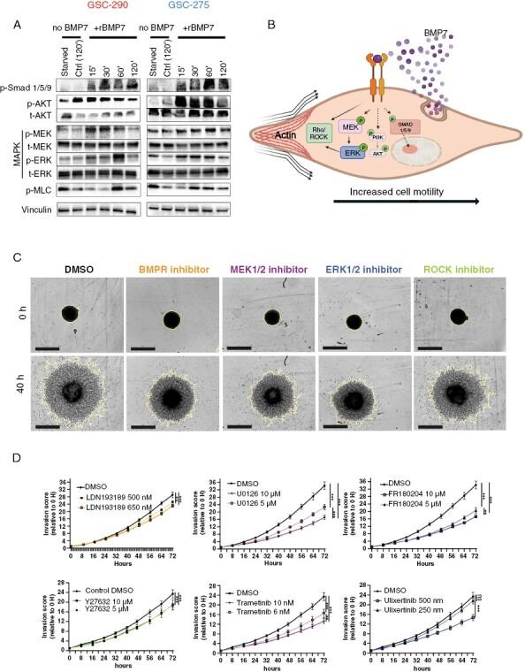 https://cdn.ncbi.nlm.nih.gov/pmc/blobs/1071/10912010/5cafc065aeb2/noad161_fig6.jpg