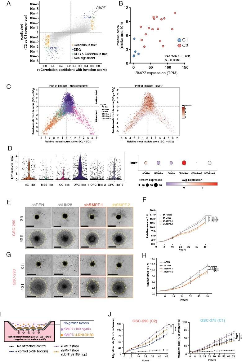 https://cdn.ncbi.nlm.nih.gov/pmc/blobs/1071/10912010/d53a3272c331/noad161_fig4.jpg