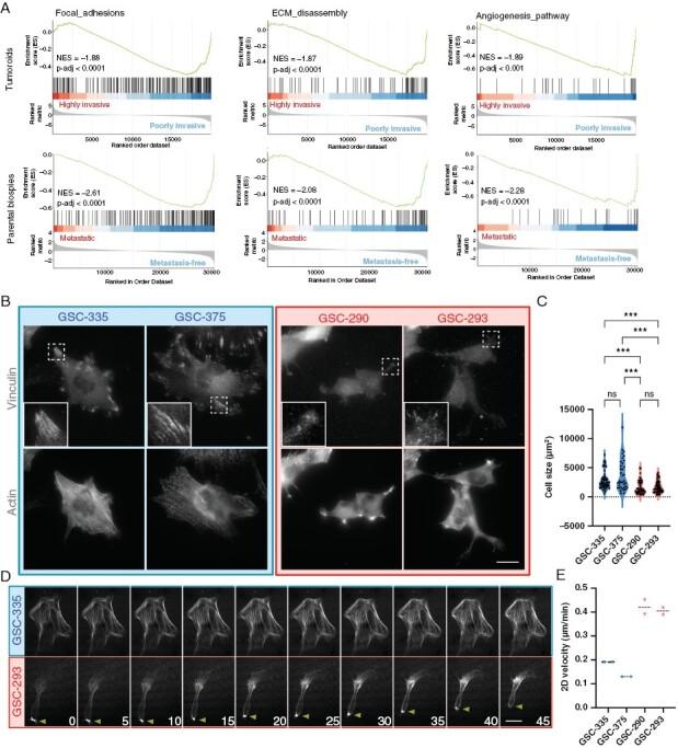 https://cdn.ncbi.nlm.nih.gov/pmc/blobs/1071/10912010/ebb3435585a6/noad161_fig3.jpg